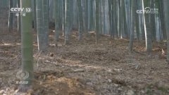 国度市场监管总局向社会发布商运营者落实食物